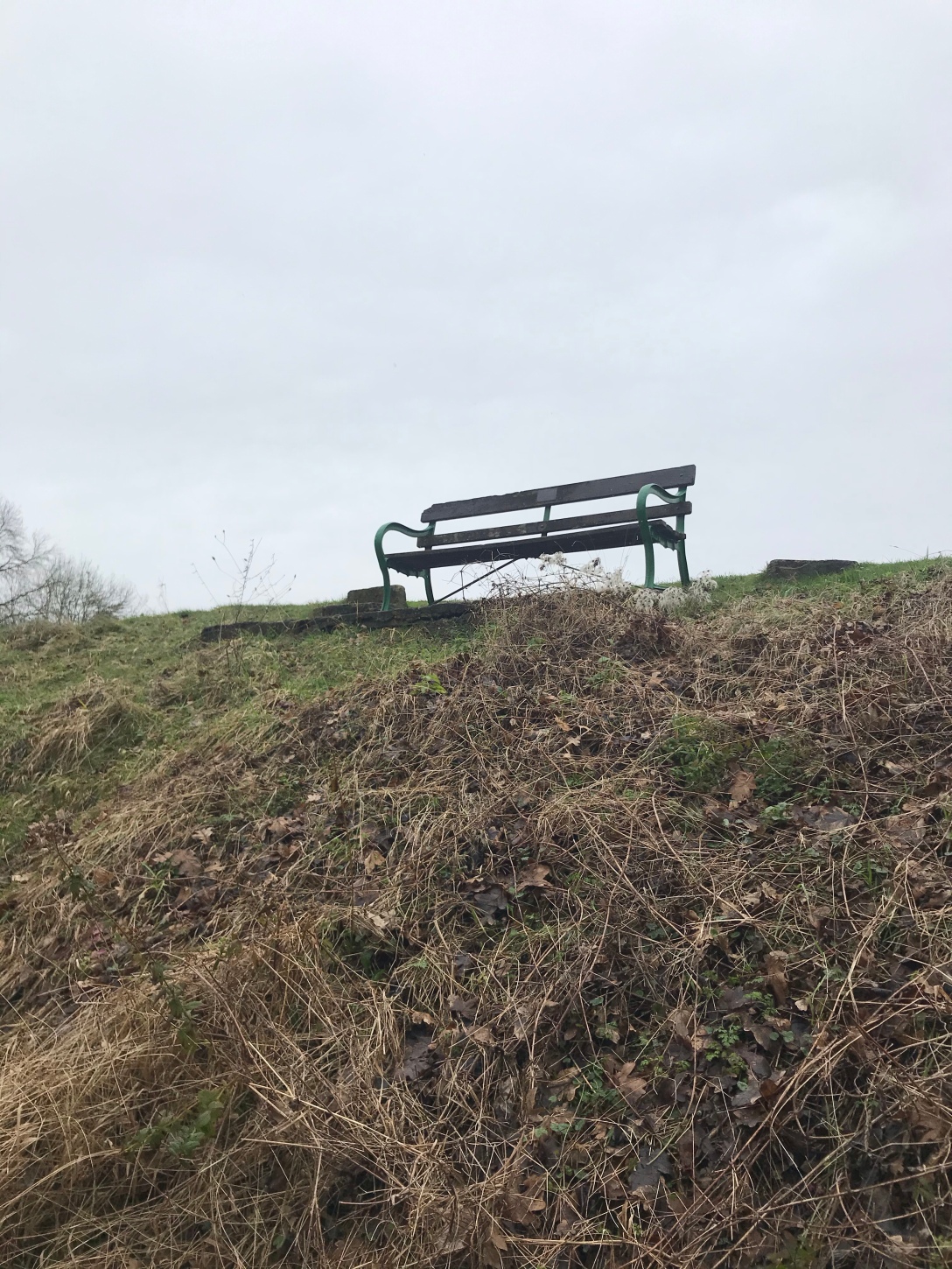 the image is of a bench on sparse land in the middle of winter