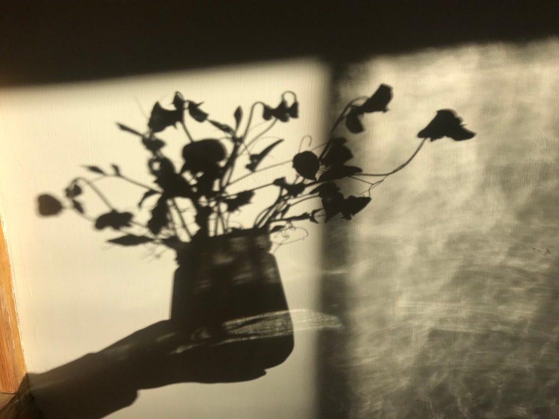 The image is the shadow of a hand holding a jar of flowers held against a plain wall.