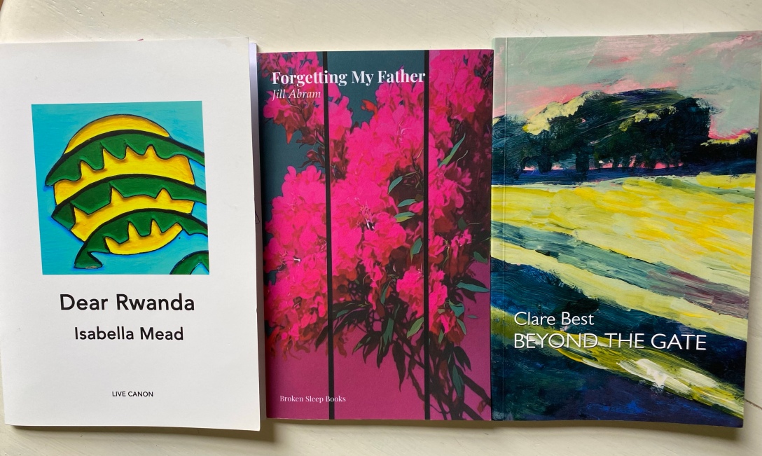 Covers of 'Dear Rwanda' by Isabella Mead, 'Remembering my Father' by Jill Abram, and 'Beyond the Gate' by Clare Best